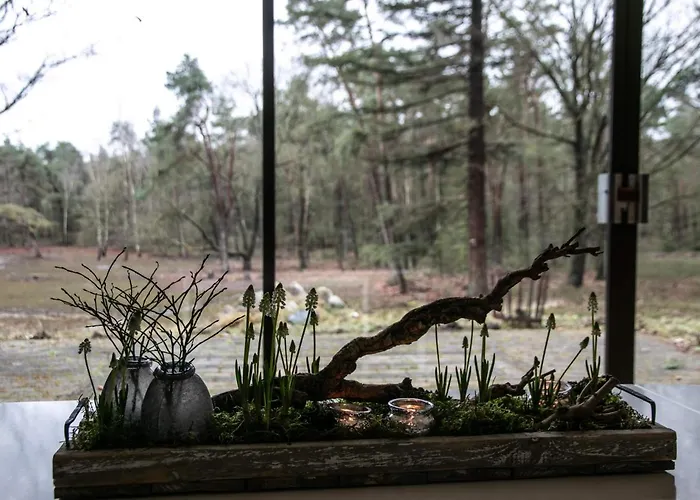 De Weeser Enk 에페