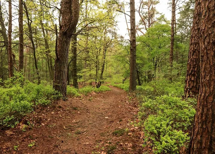 De Weeser Enk 에페