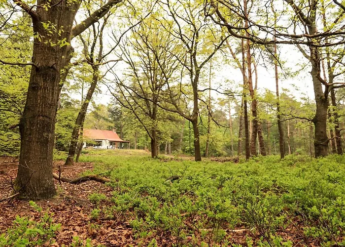 De Weeser Enk 에페