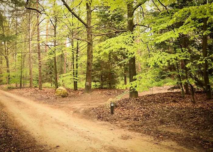 De Weeser Enk Сasa de vacaciones