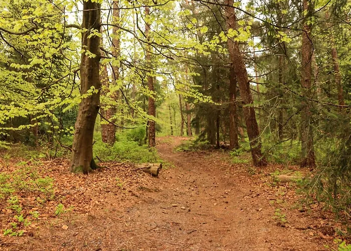 펜션 De Weeser Enk