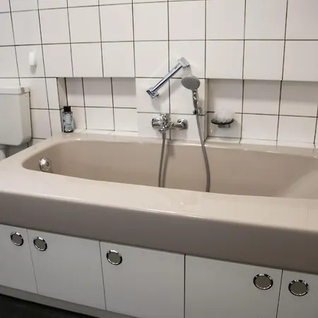 Vakantiehuis De Weeser Enk Epe