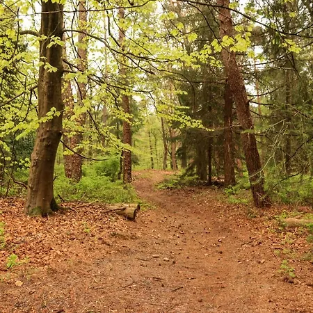 Vakantiehuis De Weeser Enk