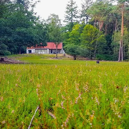 Vakantiehuis De Weeser Enk Epe