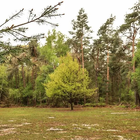 Vakantiehuis De Weeser Enk *