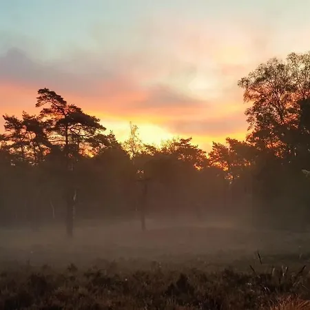 Vakantiehuis De Weeser Enk Epe