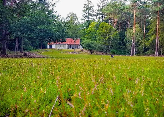 Vakantiehuis De Weeser Enk Epe