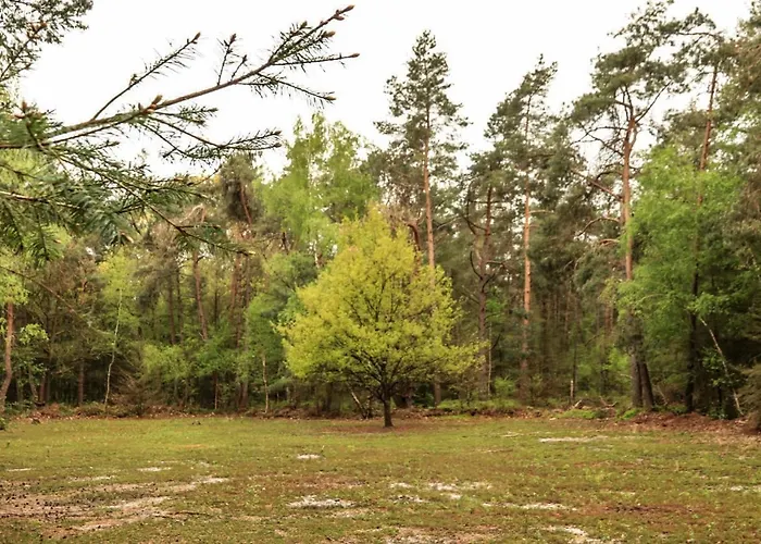 Vakantiehuis De Weeser Enk *